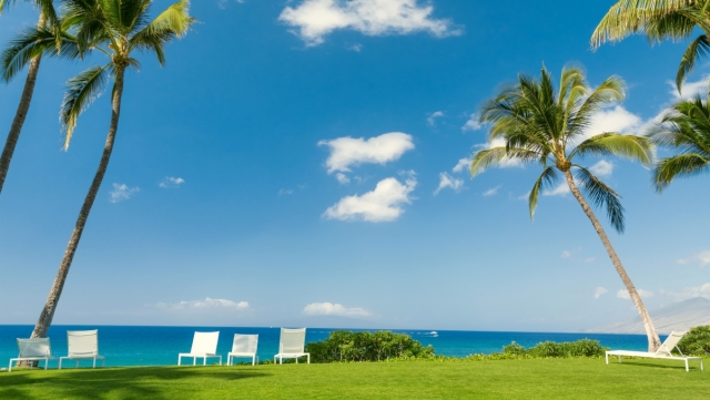 星空体育：乒乓球台有哪几种尺寸