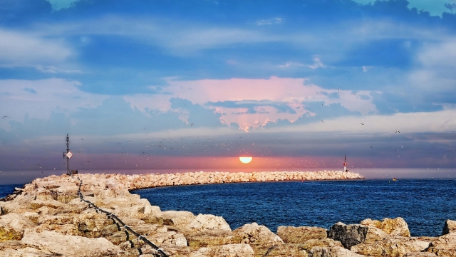 星空公司：硅pu球场设计