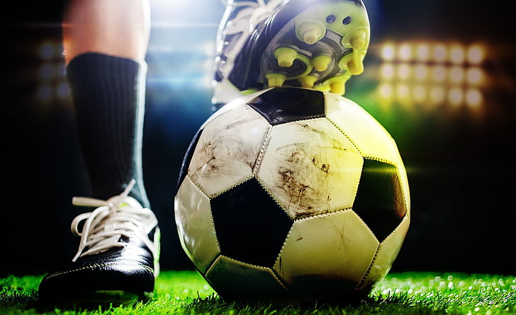 星空集团:乒乓球台怎么放在家里